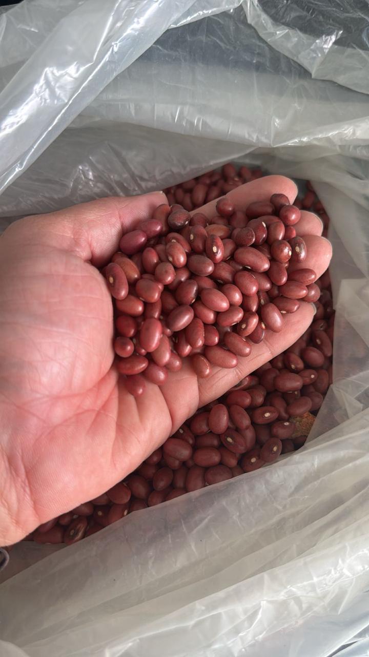 WhatsApp Image 2025-09-10 at 09.44.59