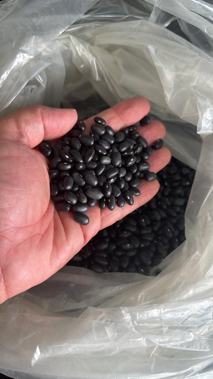 WhatsApp Image 2025-09-10 at 09.47.15