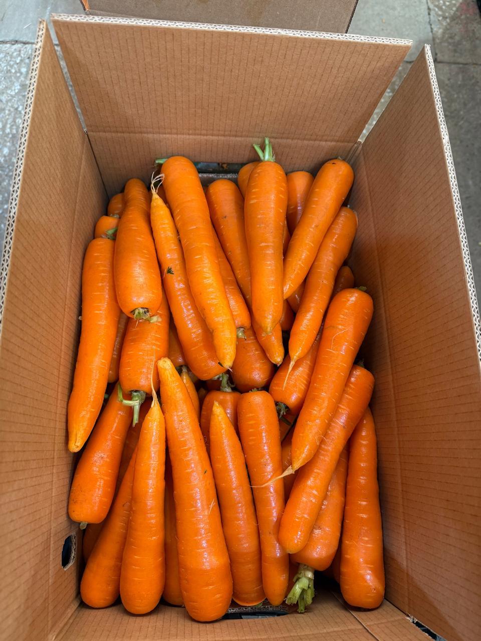 WhatsApp Image 2025-09-21 at 15.25.10 (1)