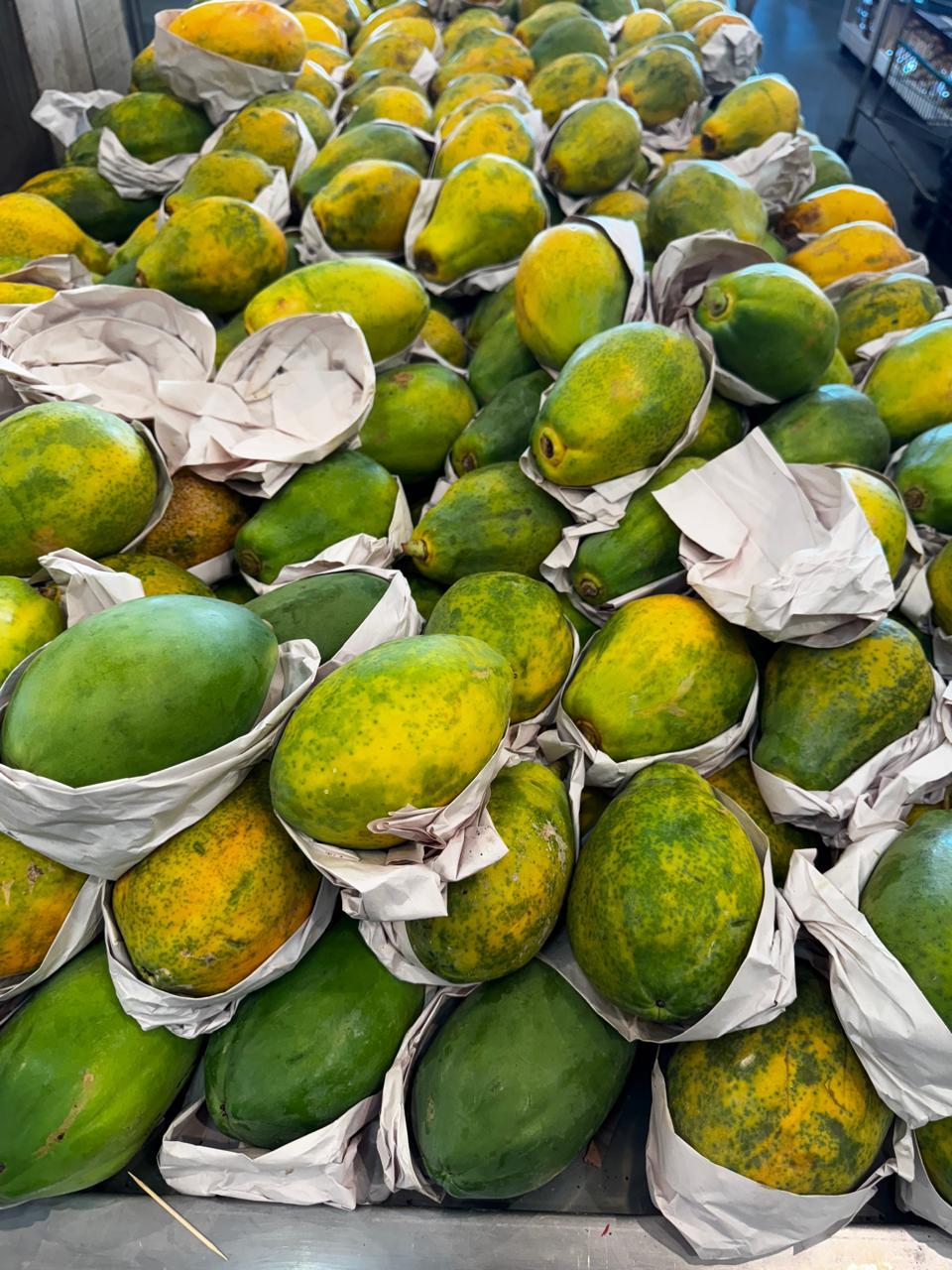 WhatsApp Image 2025-09-21 at 15.29.43 (2)