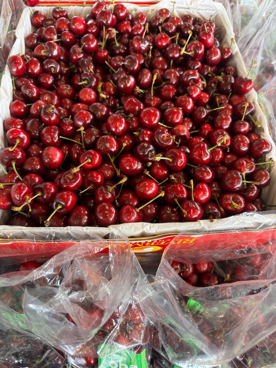 WhatsApp Image 2025-09-21 at 15.29.43 (3)