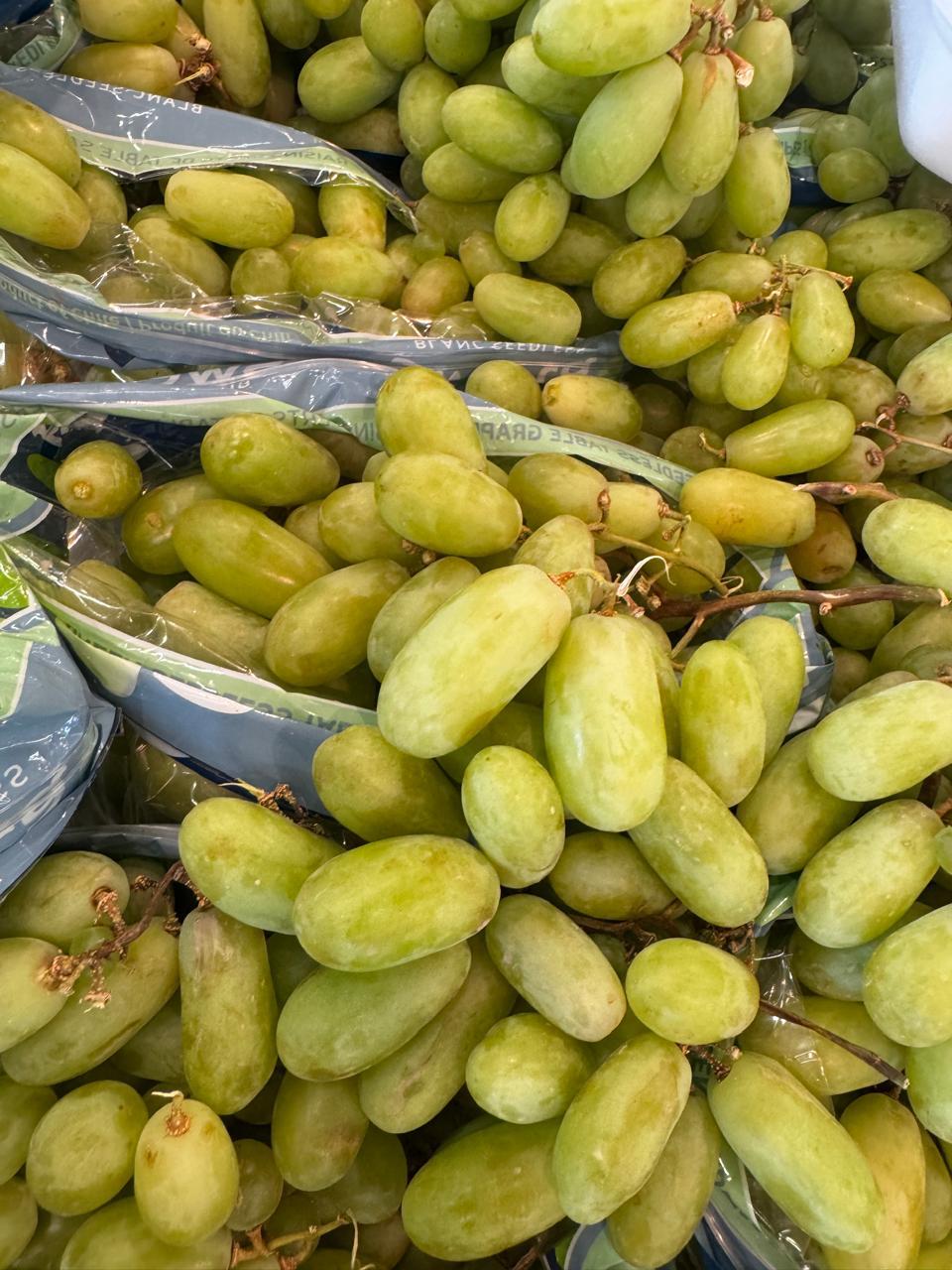 WhatsApp Image 2025-09-21 at 15.29.43