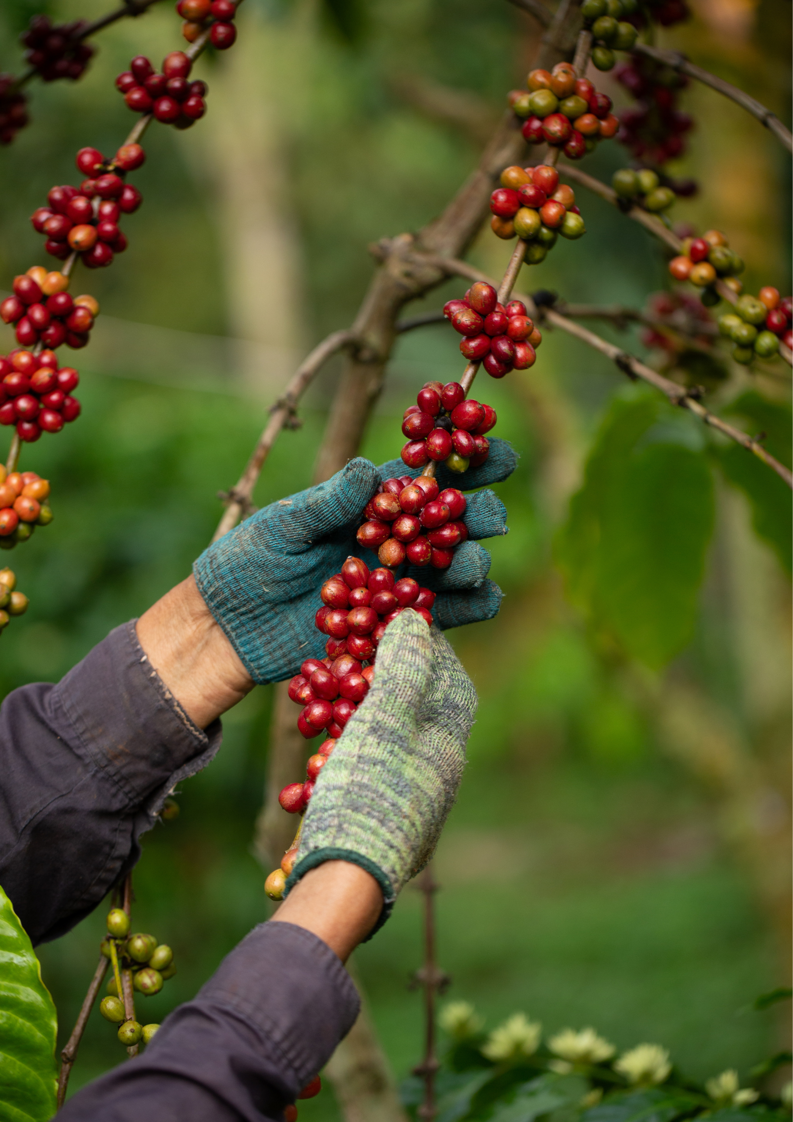 Yellow and Black Simple Minimalist Construction Site Warning Poster (1)