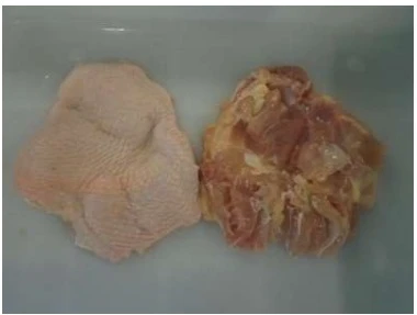 Filé de Coxa Interfolhado